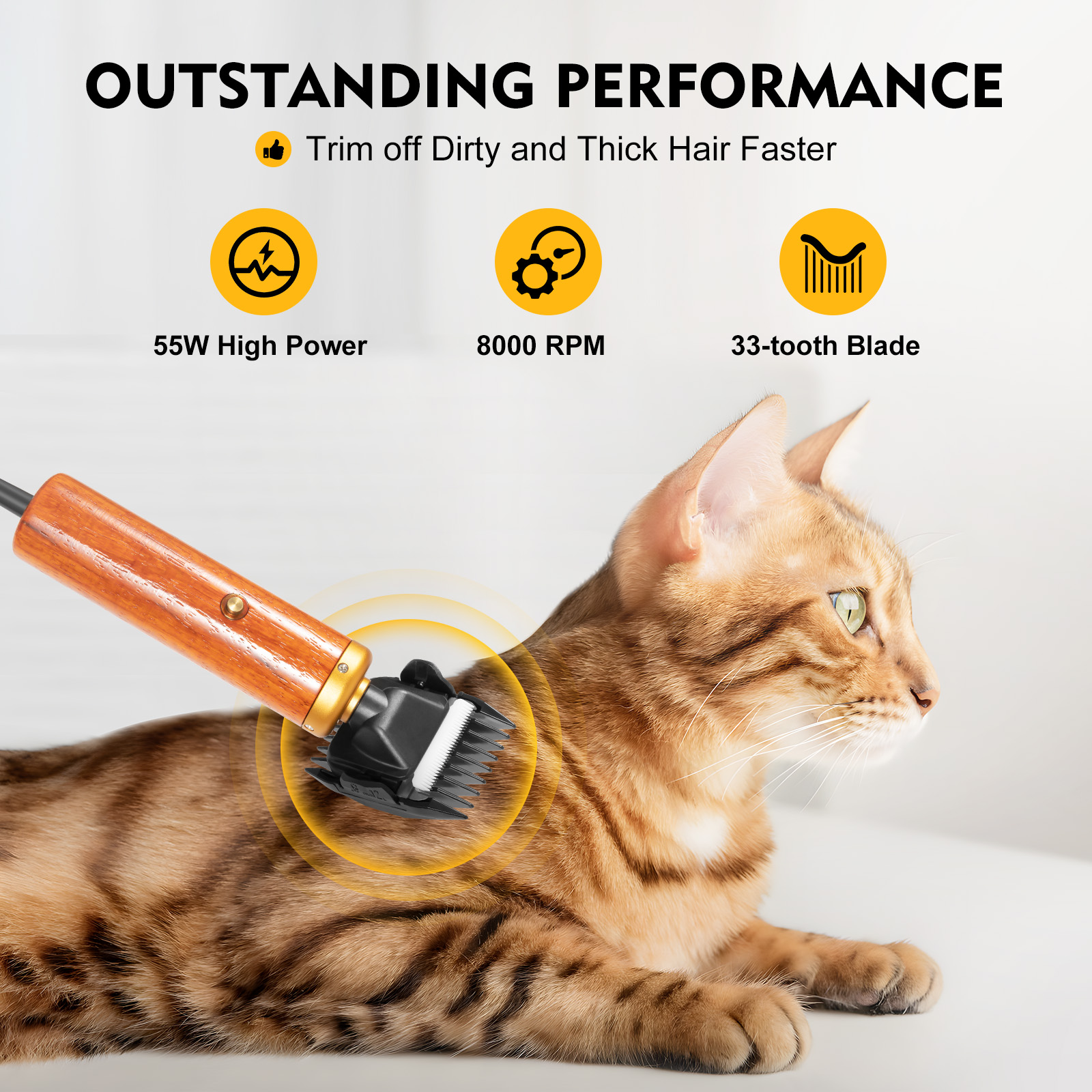 Electric Pet Clipper 55W, Prof - Model Kit Clipper review and price